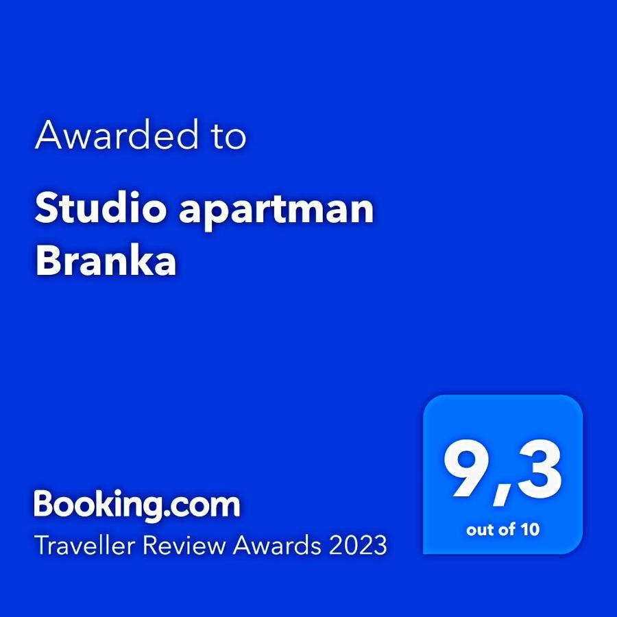 Studio Apartman Branka Labin  Buitenkant foto