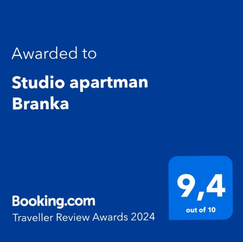 Studio Apartman Branka Labin  Buitenkant foto